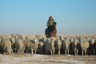 Свыше 160 рабочих мест создали в АПК Забайкалья в 2022 году