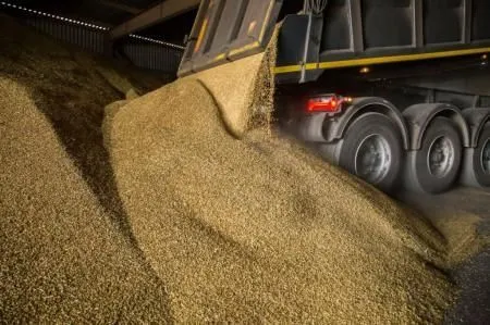 В Кузбассе собрали уже 1 млн 232 тыс. тонн зерна