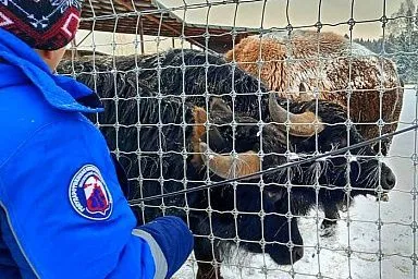 Госветслужба Московской области успешно провела карантин новым животным сафари-парка