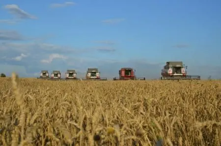 В Ивановской области завершена уборочная кампания