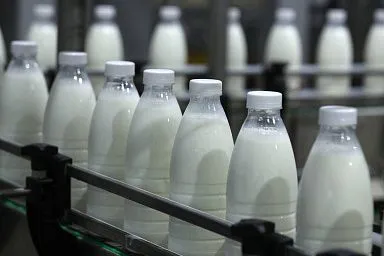 В Подмосковье построят завод по производству биопрепаратов для дальнейшего производства молочной закваски