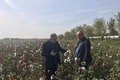 Дагестанская делегация изучила опыт хлопководства в Узбекистане