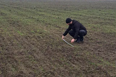 В Мелитопольском районе Запорожской области провели мониторинг состояния посевов озимых зерновых культур