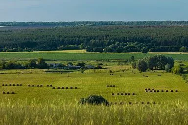 В Белгородской области близится к завершению сезон сенокоса