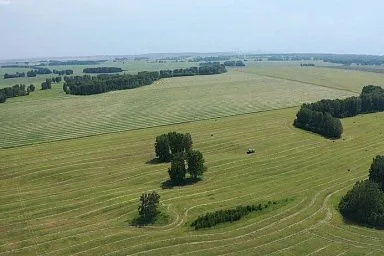 Кормозаготовка в Кузбассе идет в соответствии с планом