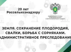 Видео: 20 лет Россельхознадзору — Земля. Сохранение плодородия, свалки, борьба с сорняками. Административное преследование