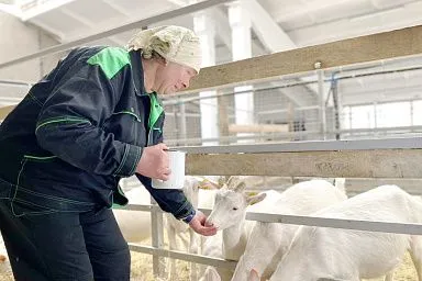 В Ивановской области расширены меры господдержки фермеров и социальной поддержки молодых специалистов в АПК