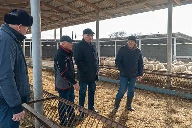 Делегация из Бурятии ознакомилась с работой животноводческих хозяйств Дагестана