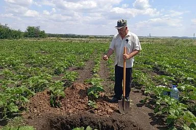 В Луганской Народной Республике продолжается мониторинг земель сельхозназначения