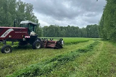 В Томской области план по кормозаготовке выполнен почти на треть