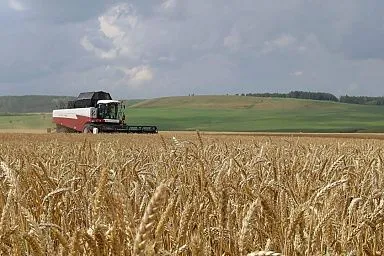 В Татарстане прошел семинар-совещание по вопросам формирования урожая