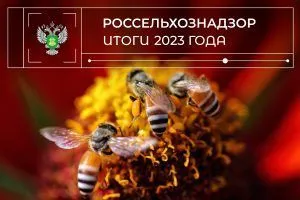 Итоги 2023: Содействие в решении проблем пчеловодства