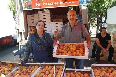 В столице Дагестана пройдут ночные сельхозярмарки