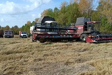 В Томской области уборочная выполнена почти на 58 процентов