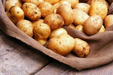 В Приангарье приступили к уборке молодого картофеля