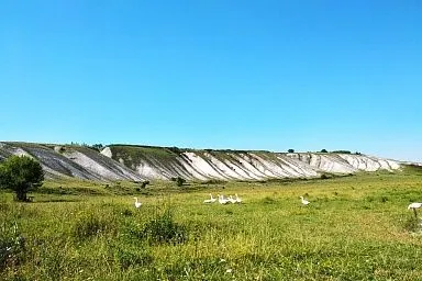 В Белгородской области реализуют три проекта с поддержкой гранта «Агротуризм»