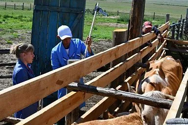 Гранты на развитие аграрной деятельности смогут получить учебные заведения Забайкалья