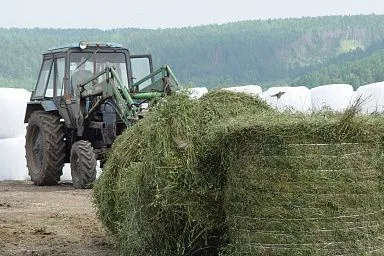 Кормозаготовительная кампания стартовала в Иркутской области