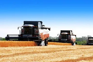 Саратовские хлеборобы намолотили первые 100 тыс. тонн зерна