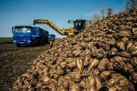 Аграрии Башкортостана накопали более 810 тыс. тонн сахарной свеклы