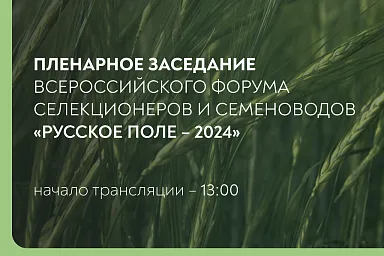 Прямая трансляция пленарного заседания форума «Русское поле – 2024»