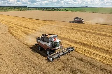 Нижегородские аграрии собрали полмиллиона тонн зерна с начала уборочной кампании