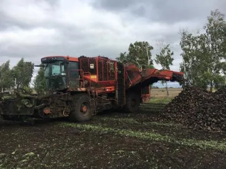 В Башкортостане начали убирать сахарную свёклу