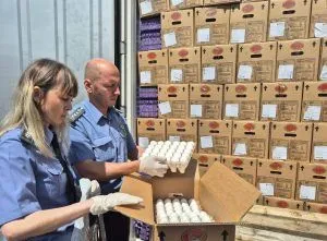 Россельхознадзор проконтролировал очередные поставки импортных пищевых яиц