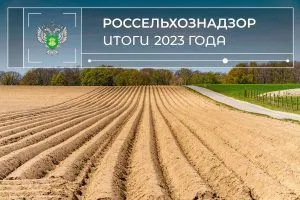 Итоги 2023: Земельный надзор и вовлечение неиспользуемых участков в оборот