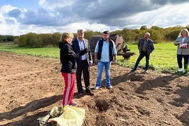 Семья фермера Любови Непийвода в Тейковском районе Ивановской области занимается разведением смородины, используя меры господдержки