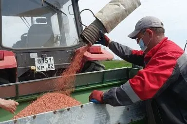 В Республике Крым впервые за последние 8 лет стартовала посевная кампания риса