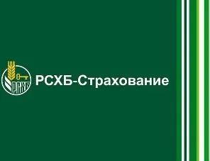 «РСХБ‒Страхование» оформило договоры на ₽7,4 млрд с группой «Черкизово»